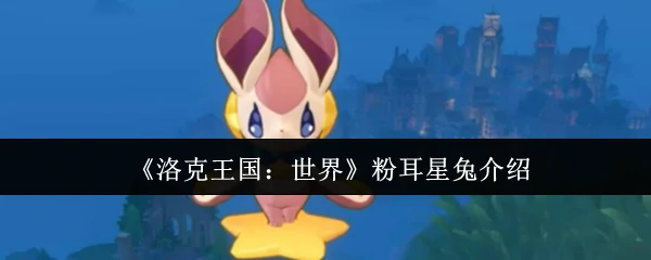 粉耳星兔介绍