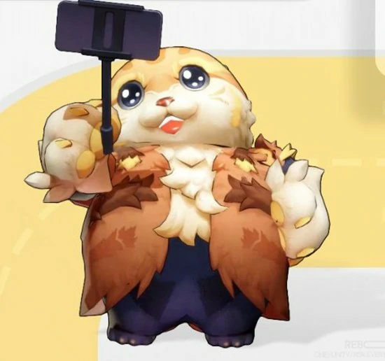 建程猫月灵职能介绍