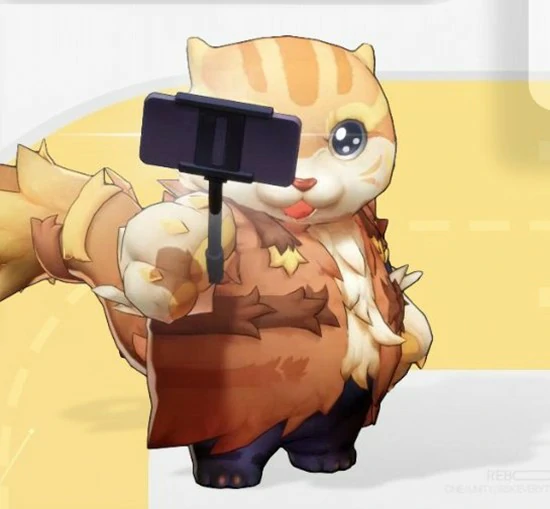 建程猫月灵职能介绍