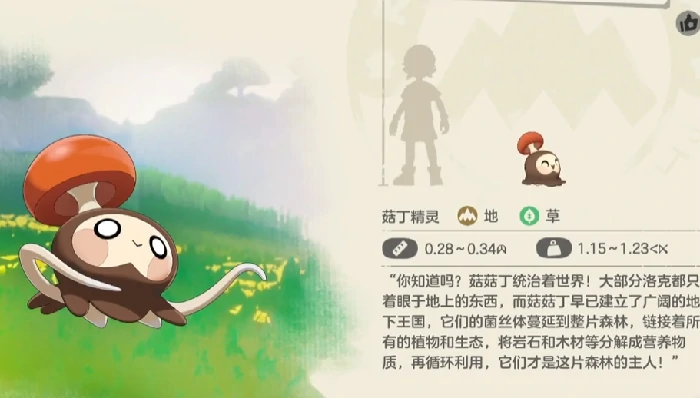 菇菇丁进化攻略