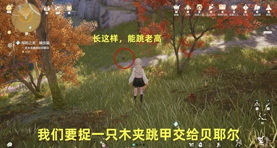 探险之美捕虫篇任务攻略