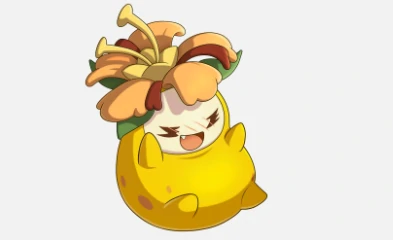 菊花梨配招攻略