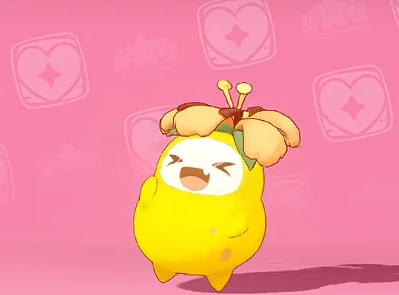 菊花梨配招攻略