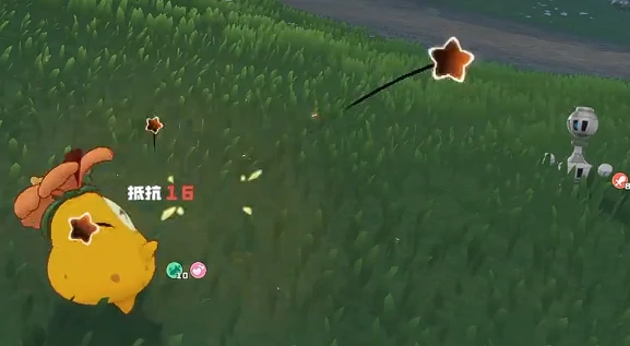 菊花梨配招攻略