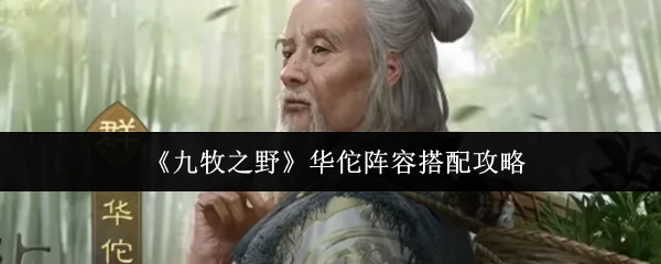 华佗阵容搭配攻略