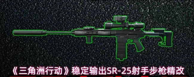 稳定输出SR-25射手步枪精改