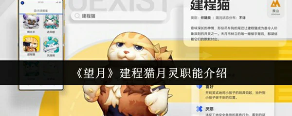 建程猫月灵职能介绍