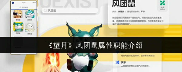 风团鼠属性职能介绍