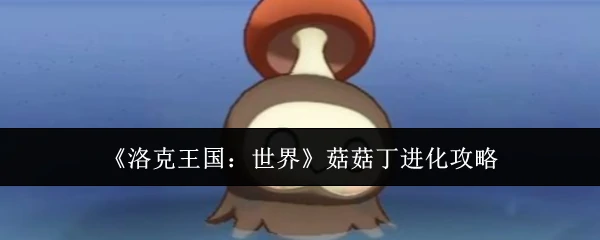 菇菇丁进化攻略
