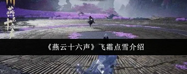 飞霜点雪介绍