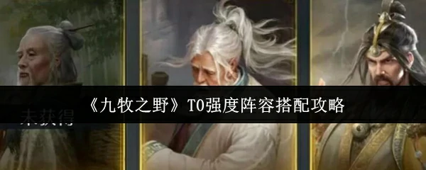 T0强度阵容搭配攻略