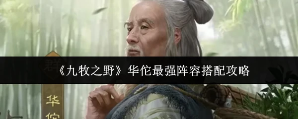 华佗最强阵容搭配攻略