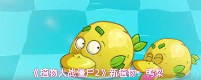 新植物：鸭梨