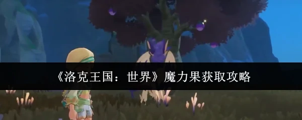 魔力果获取攻略