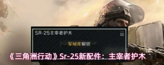 SR25主宰者护木介绍