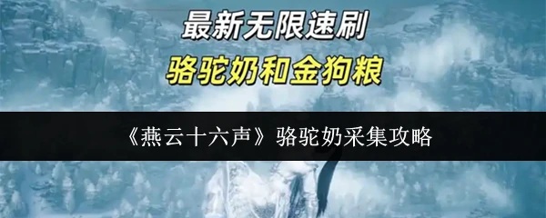 骆驼奶采集攻略