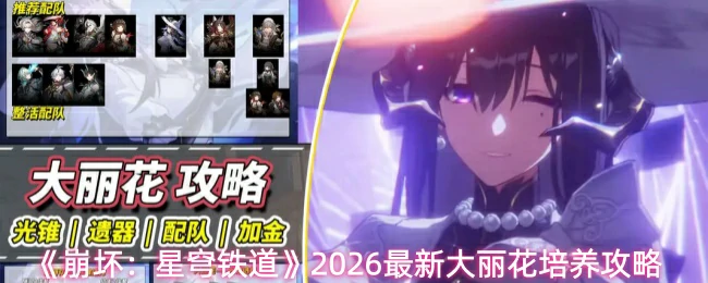 大丽花培养攻略