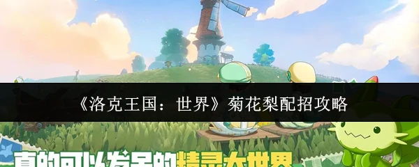 菊花梨配招攻略