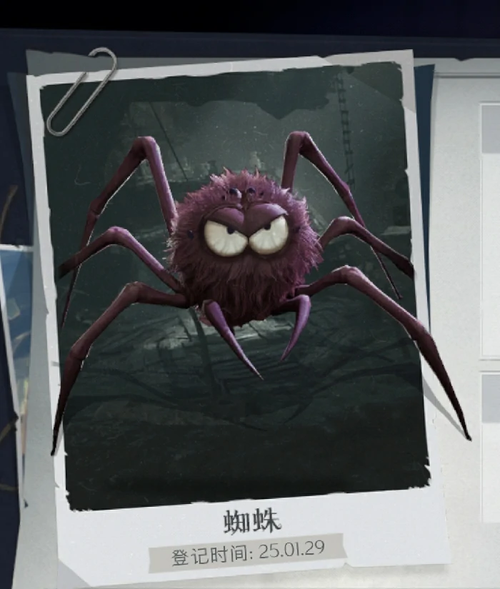 蜘蛛