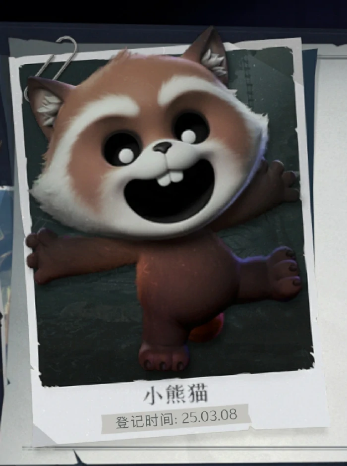 小熊猫