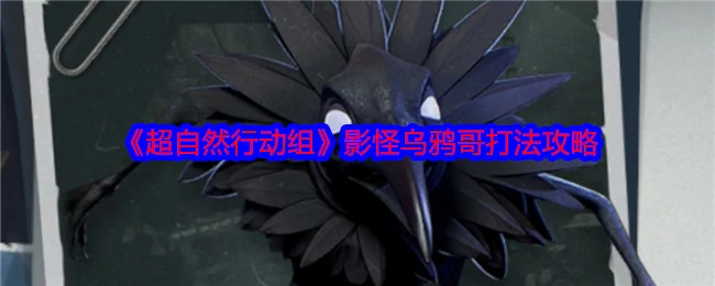 影怪乌鸦哥