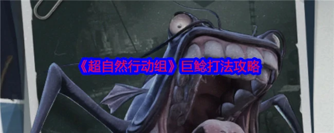 巨鲶