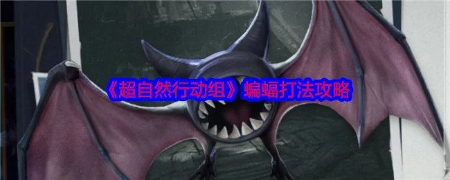 蝙蝠