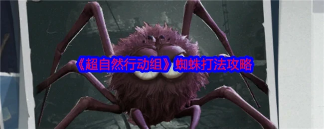 蜘蛛