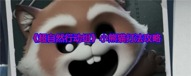 小熊猫
