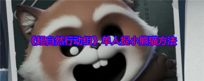 单人捉小熊猫方法