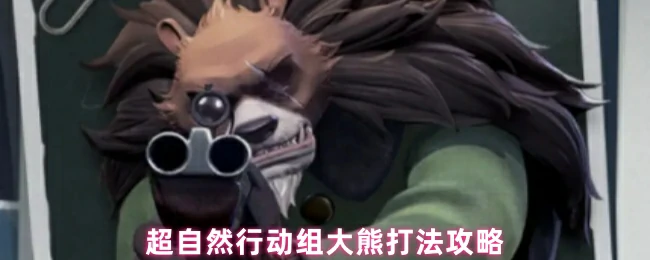 大熊打法攻略