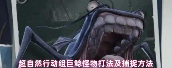 巨鲶怪物打法及捕捉方法
