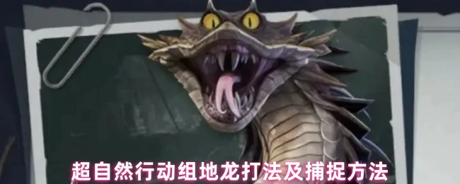 地龙打法及捕捉方法