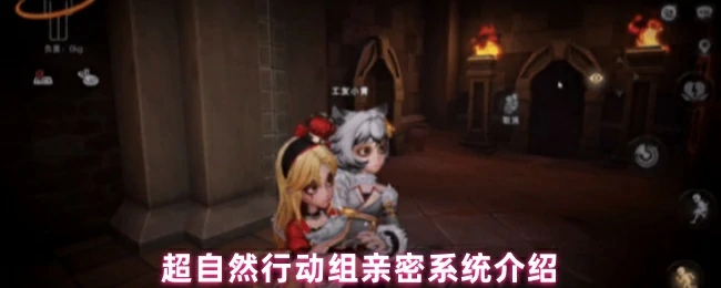 亲密系统介绍