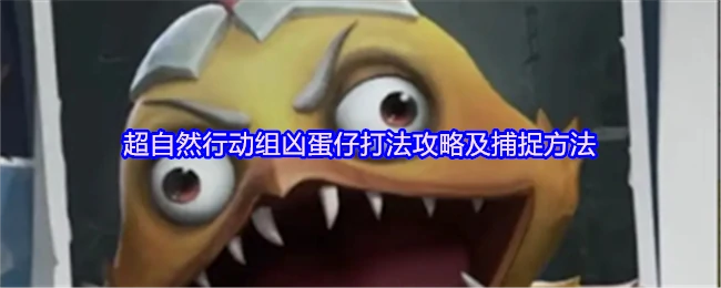凶蛋仔