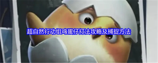 鸡蛋仔