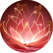 杨玉环技能介绍