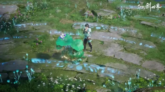 香樟树苗作用介绍