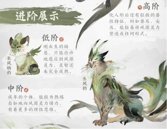 长风云卫实力介绍