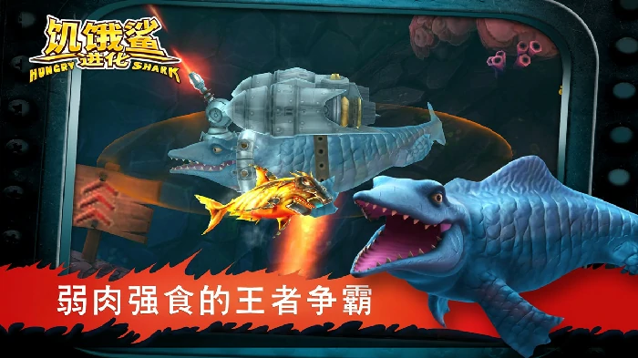 性价比解锁鲨鱼推荐