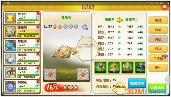 宠物等级与战斗力提升技巧