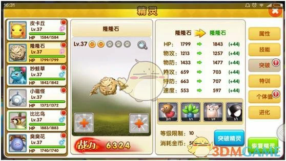 宠物等级与战斗力提升技巧