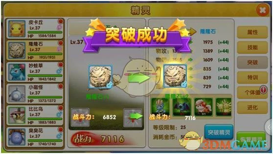 宠物等级与战斗力提升技巧