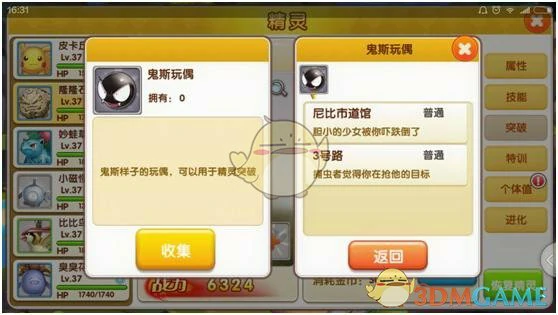 宠物等级与战斗力提升技巧