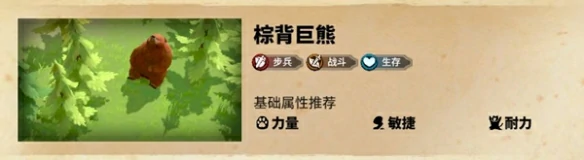 葛如卡宠物选择推荐