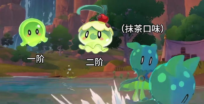 果冻的捕捉地点一览