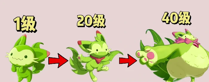 喵喵获取方法