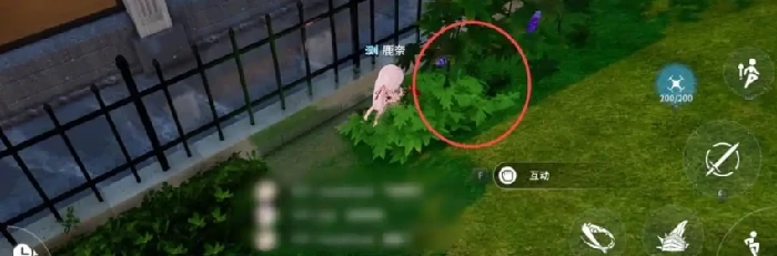 采集物攻略