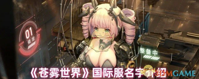 国际服名字介绍