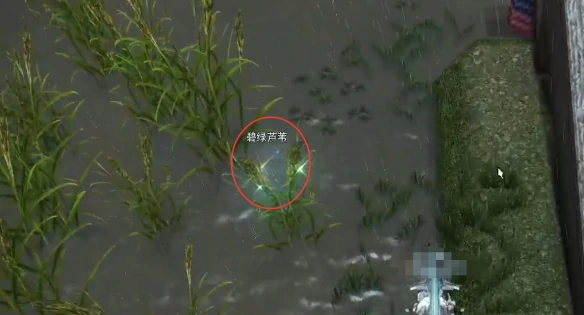 开拓通往上游水域之路任务攻略